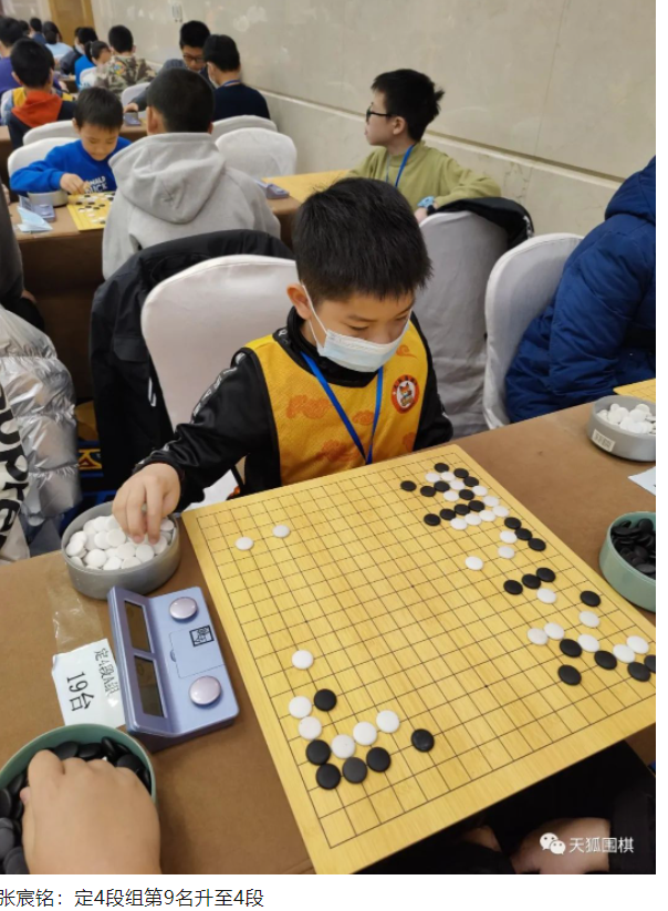 天狐围棋