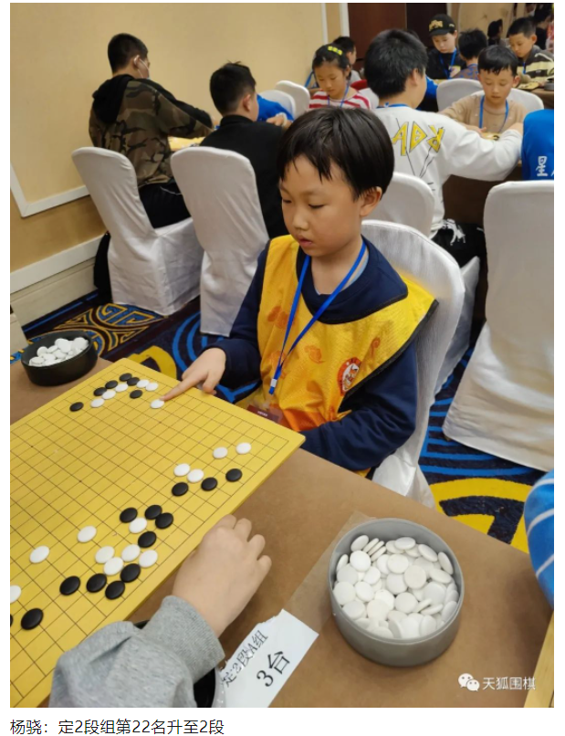 天狐围棋