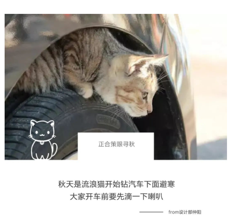 1680763168749063.png 一群地产老炮儿的策眼寻秋...