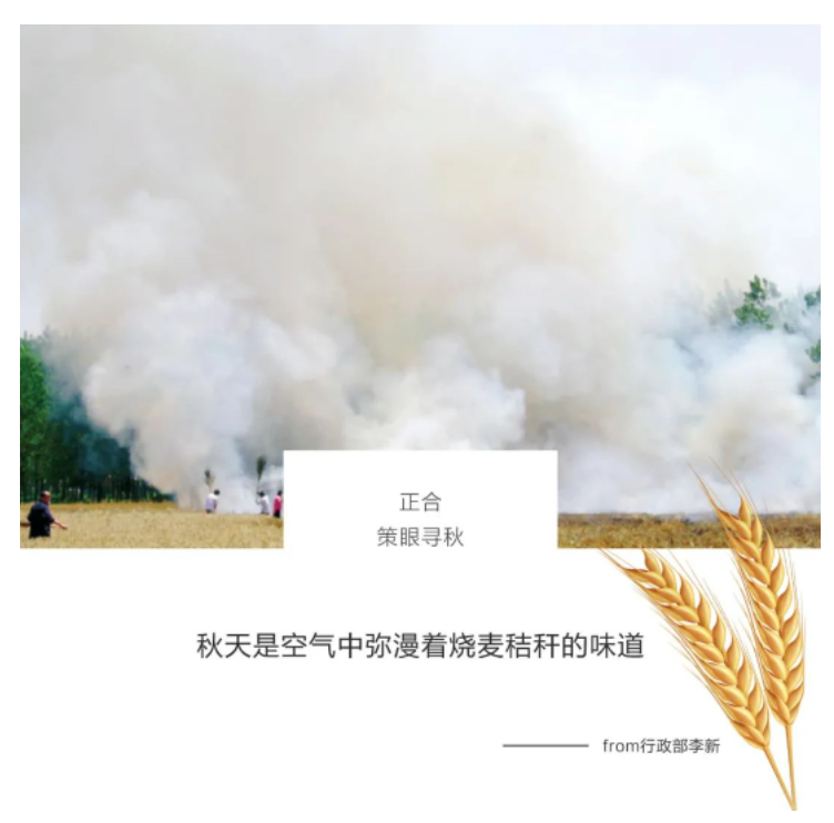 1680763194132667.png 一群地产老炮儿的策眼寻秋...