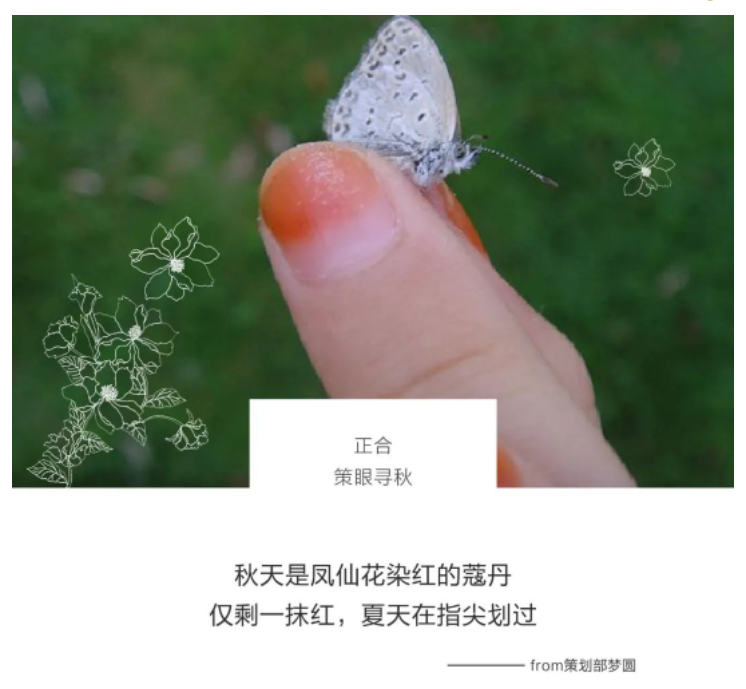 1680763230693691.png 一群地产老炮儿的策眼寻秋...