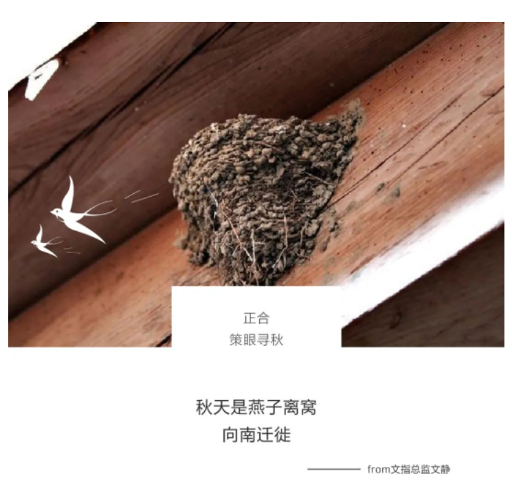 1680763291406896.png 一群地产老炮儿的策眼寻秋...