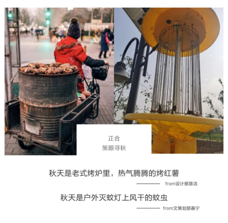 1680763317189219.png 一群地产老炮儿的策眼寻秋...