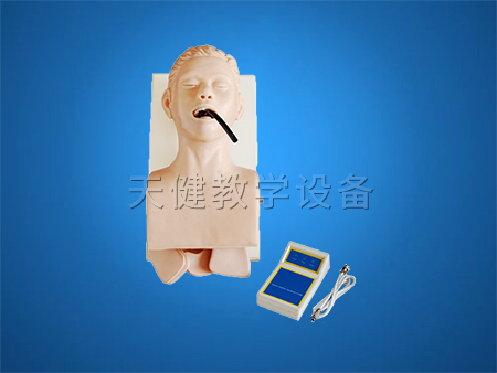 TJ-407護(hù)理急救模型