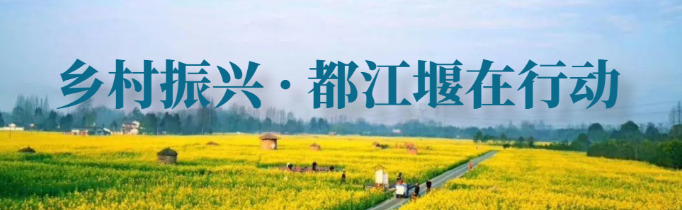 红心猕猴桃