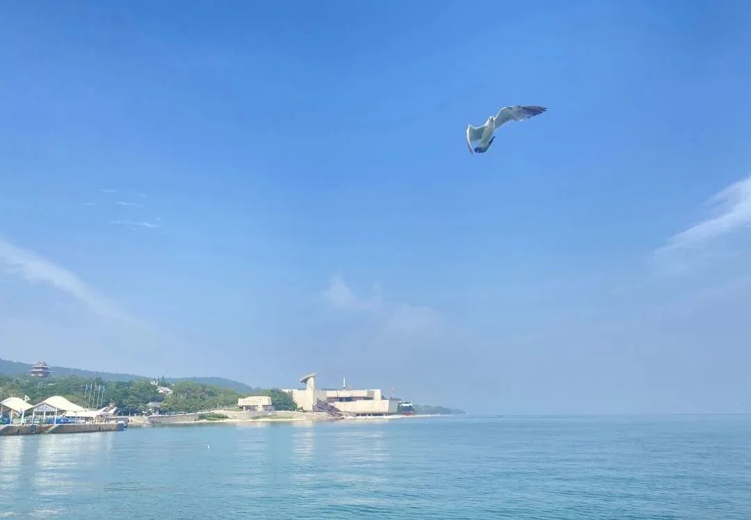 威海山威海诚汽车服务有限公司