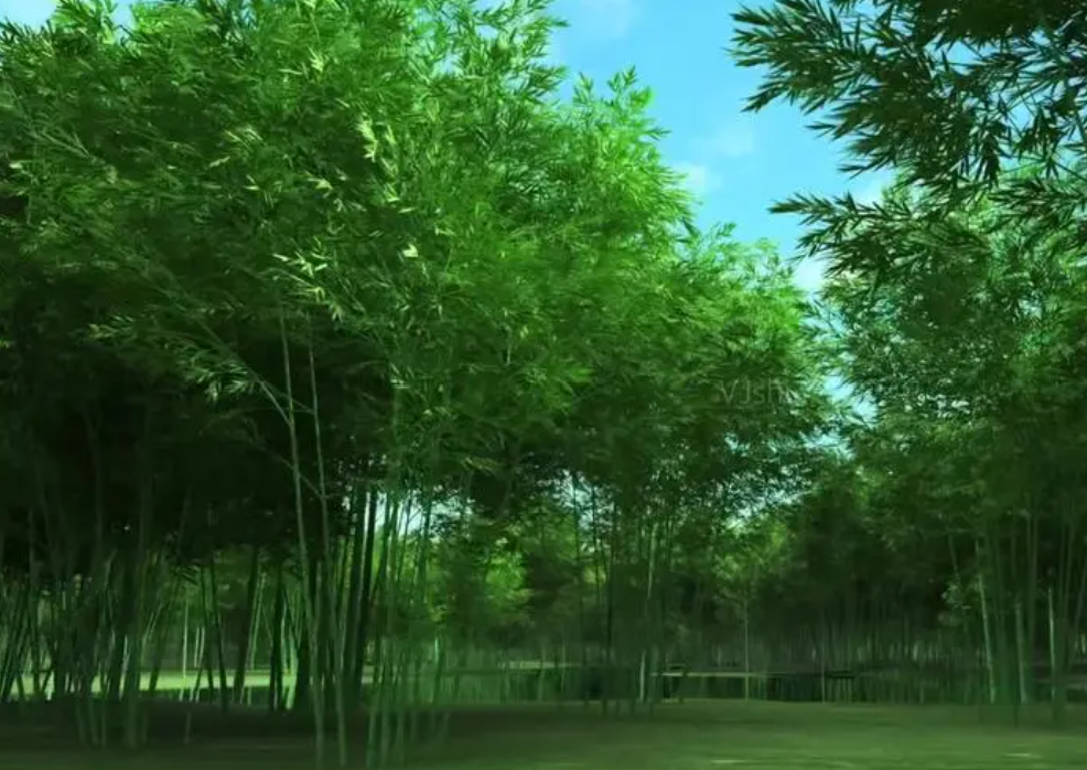 荷花定律