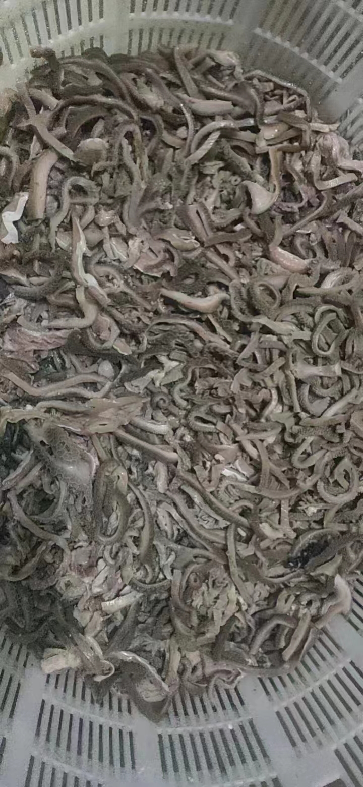 羊毛肚