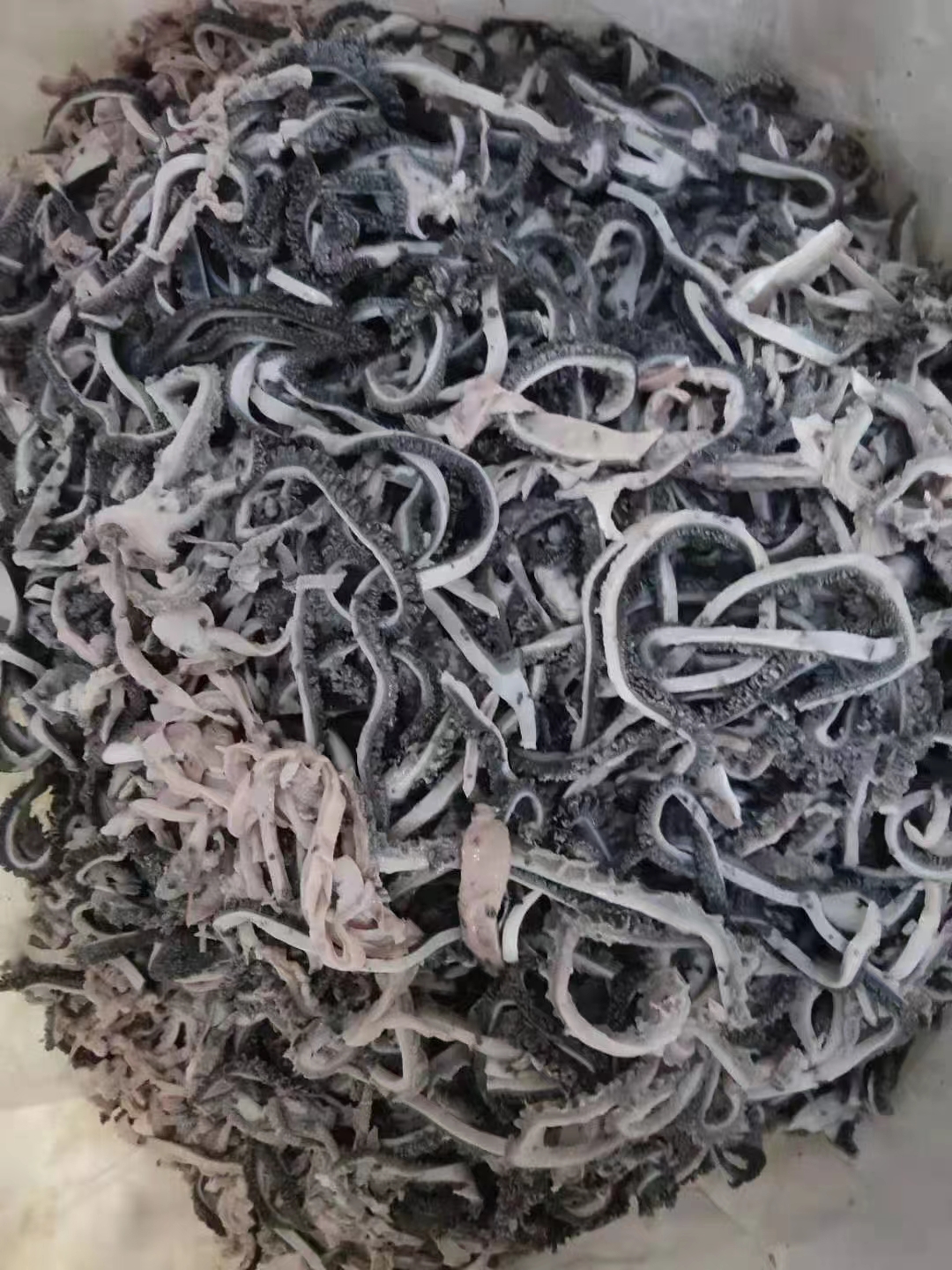 羊毛肚