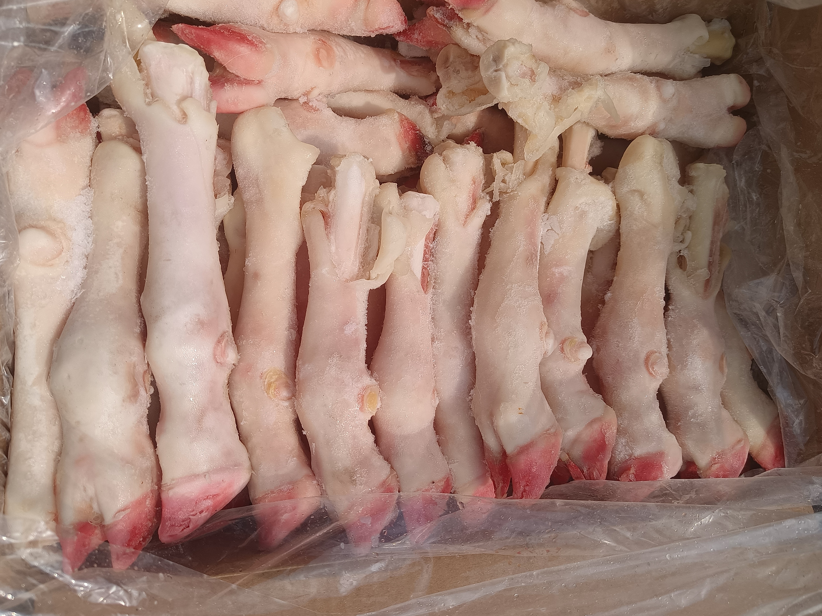 羊肉