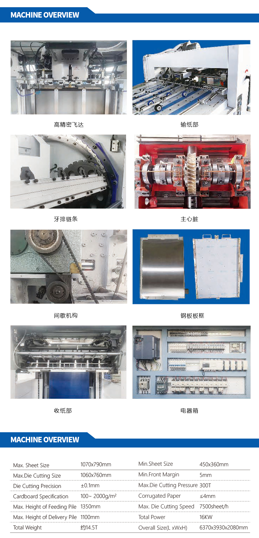 Cutting & Creasing Machine