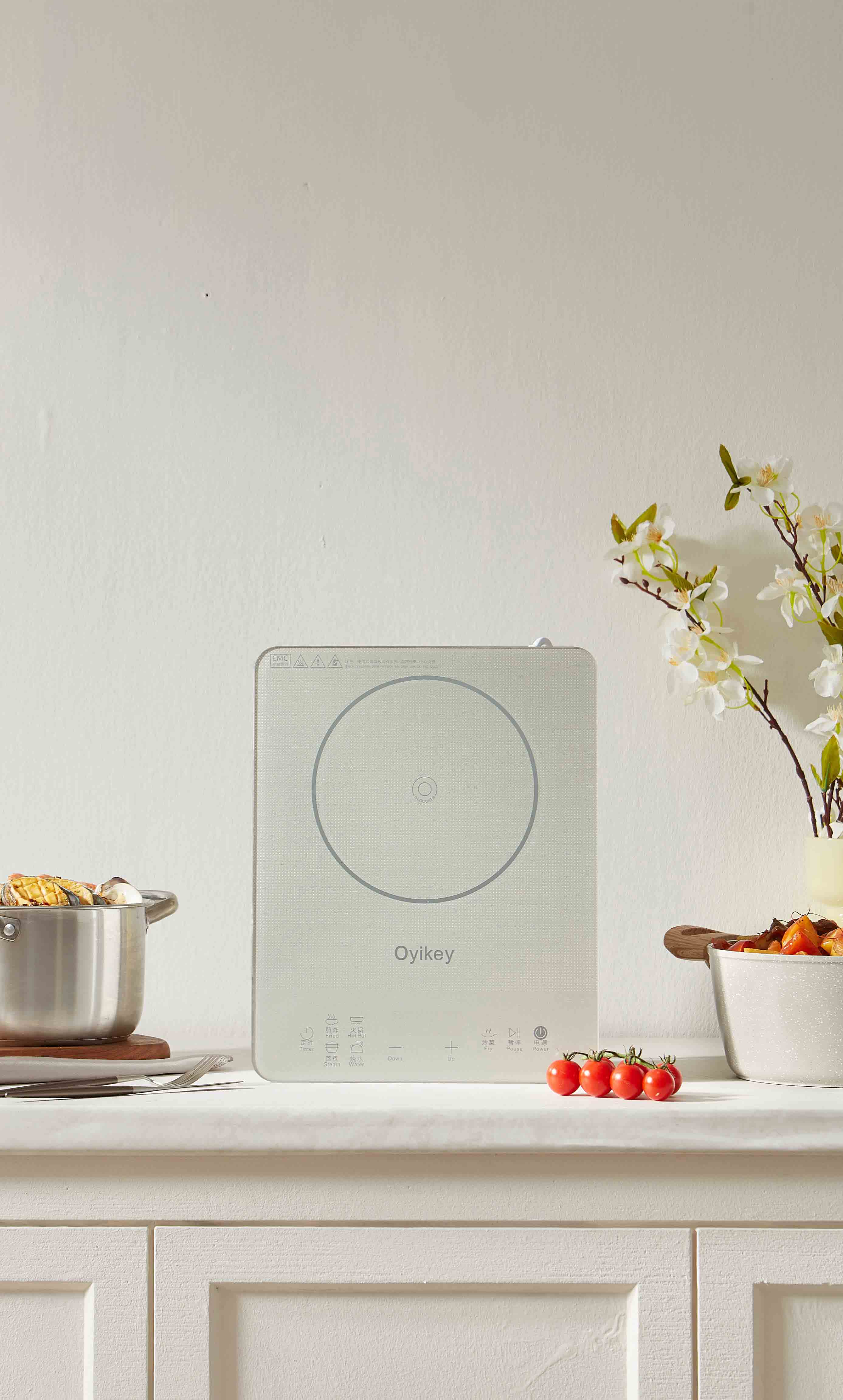 1686983061623726.jpg 电磁炉