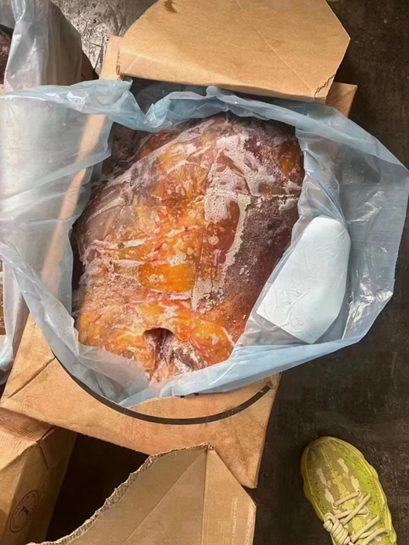 牛肩胛