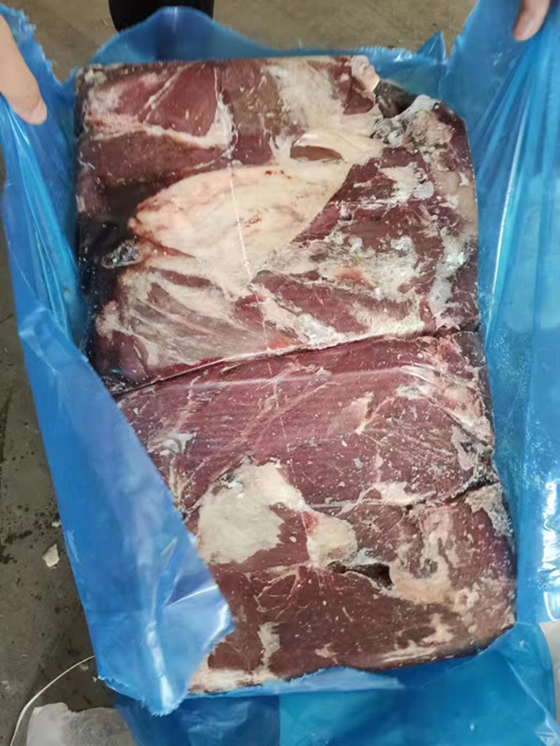 牛前驱