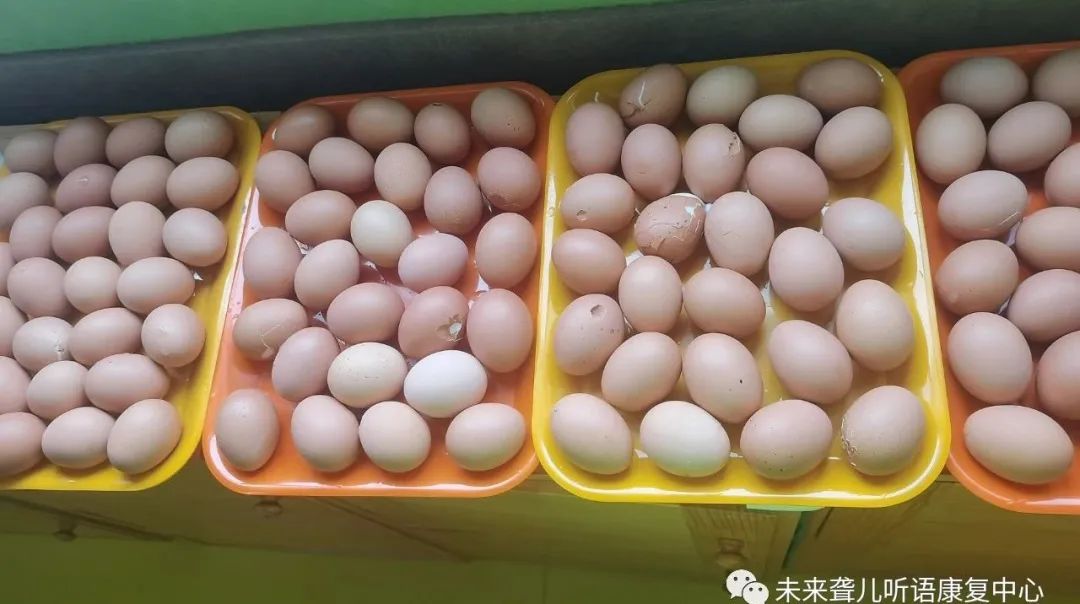1687142448446047.jpg 端午节