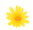1687333656985781.gif 未来聋儿