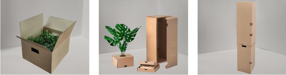 用于运输植物的纸板箱有哪些