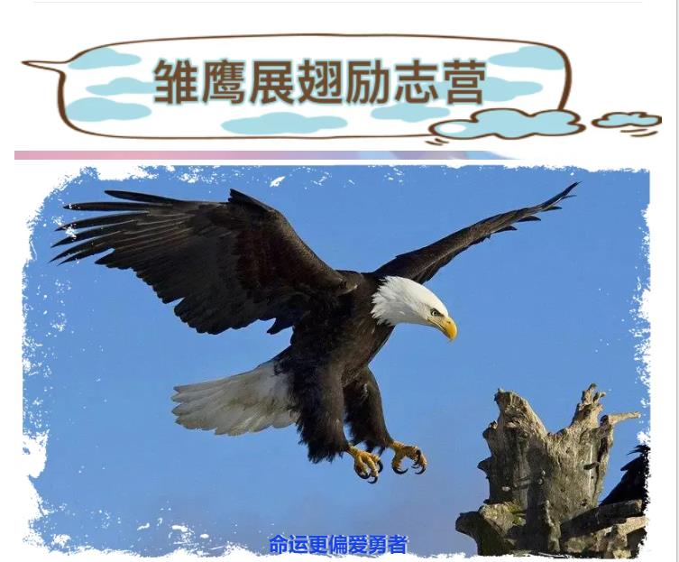 夏令营