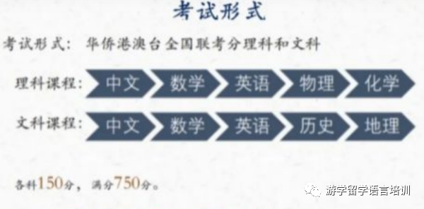 温州港澳生联考培训
