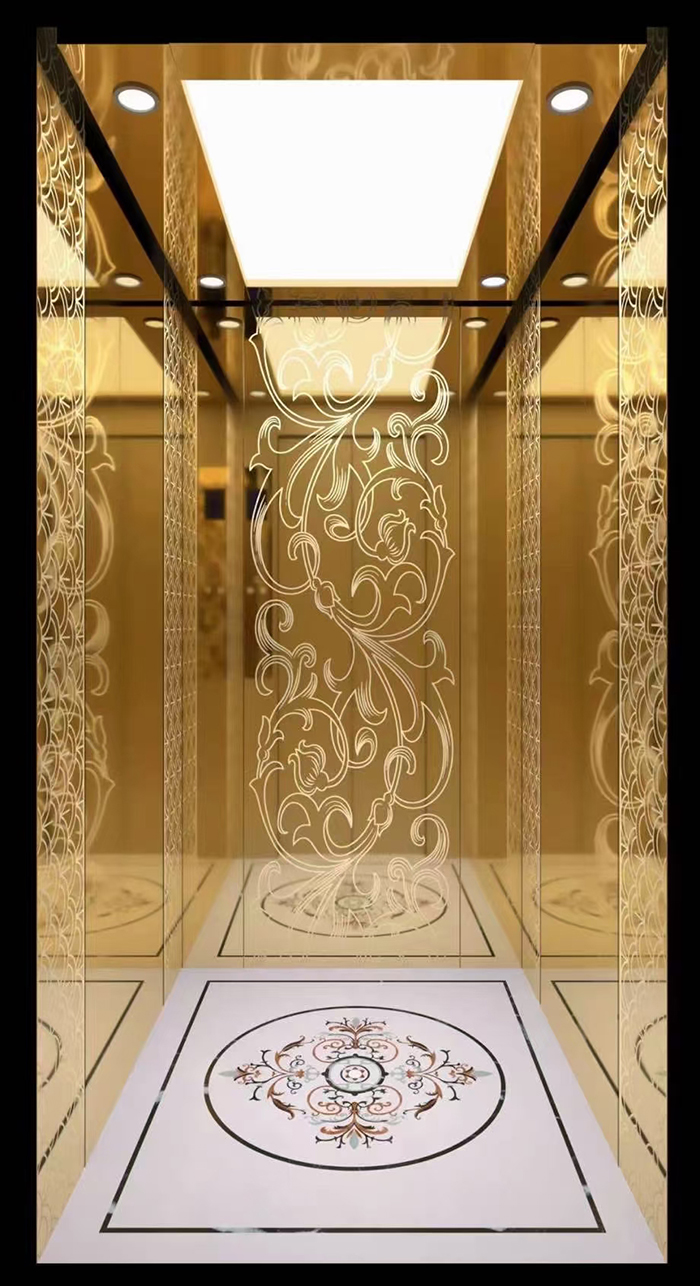 別墅電梯安裝實例展示