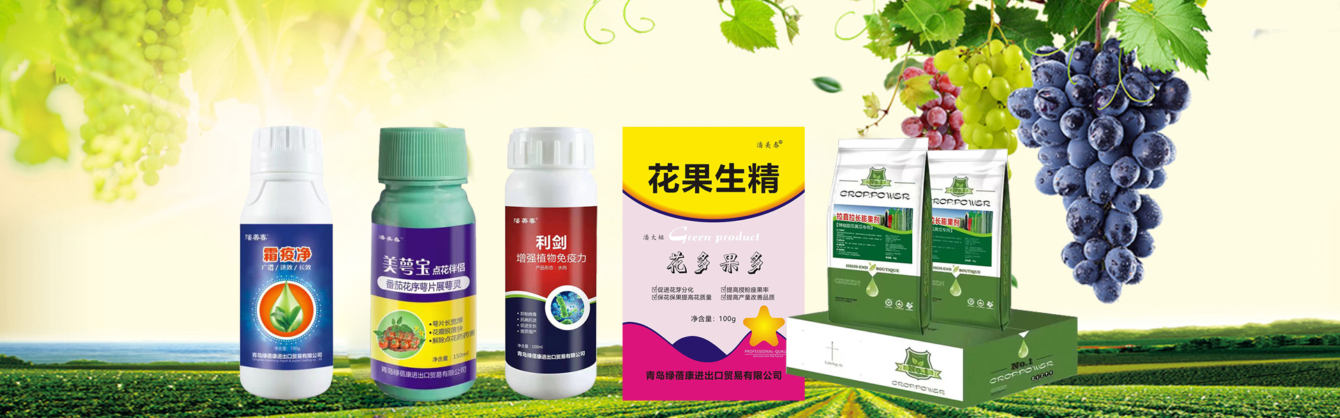 青岛绿蓓康进出口贸易有限公司