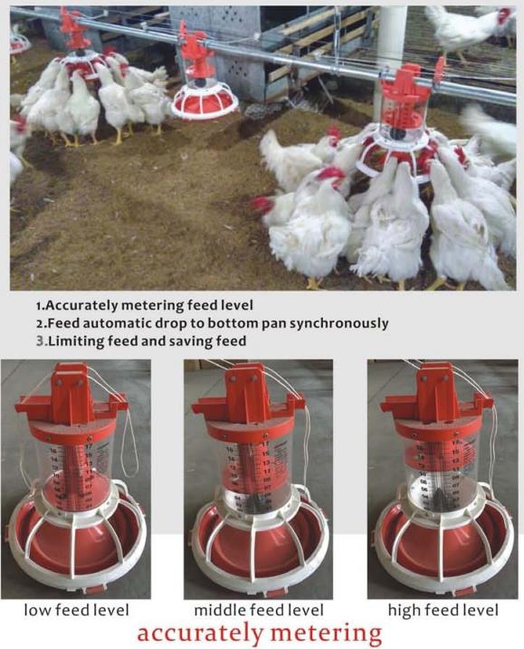 Breeder metering cylinder feedin