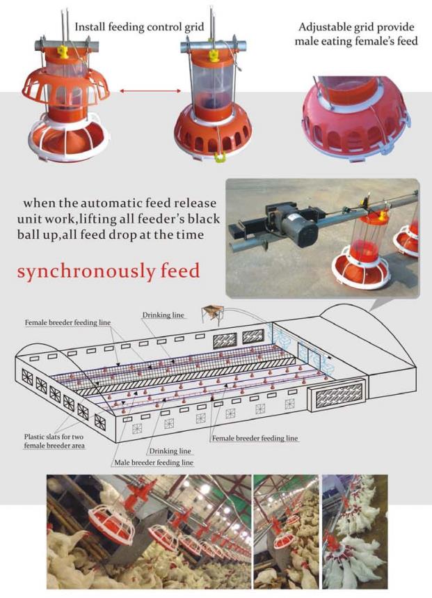 Breeder metering cylinder feedin