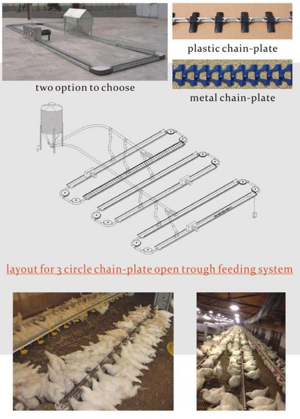 Breeder chain-plate open trough