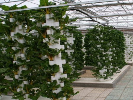 以色列技术荷兰模式维护—荷兰模式加盟—方立农业科技