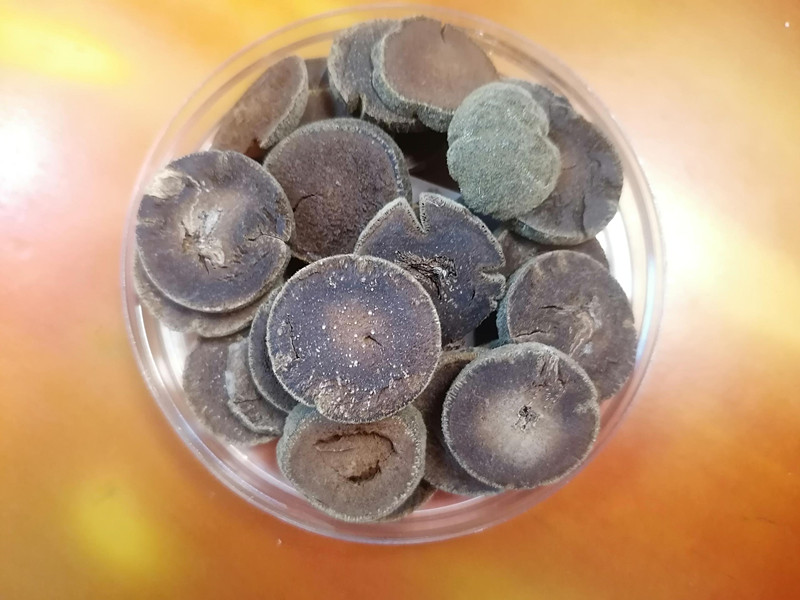 化州橘红
