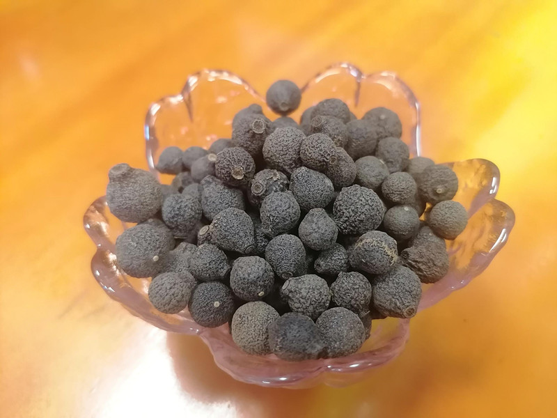 老树大柑胎