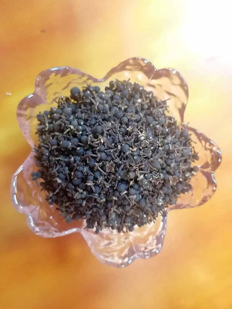 老树小柑胎