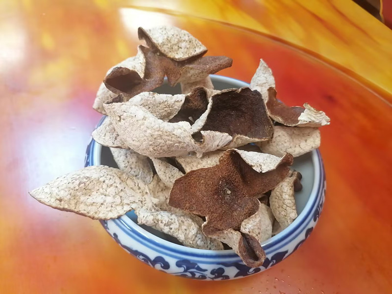 梅江圈枝大红皮3年