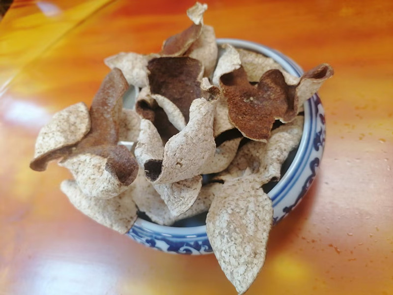 梅江圈枝大红皮3年