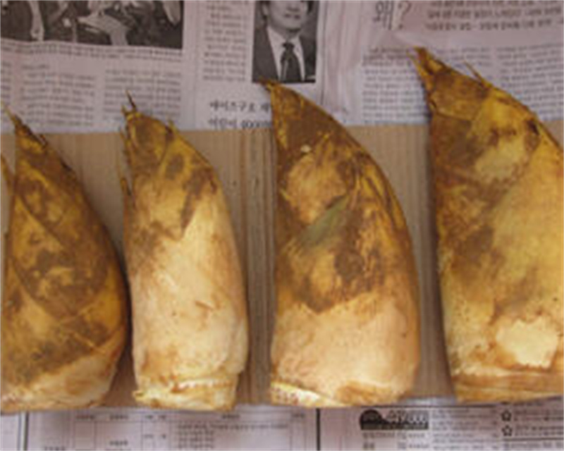 冬筍