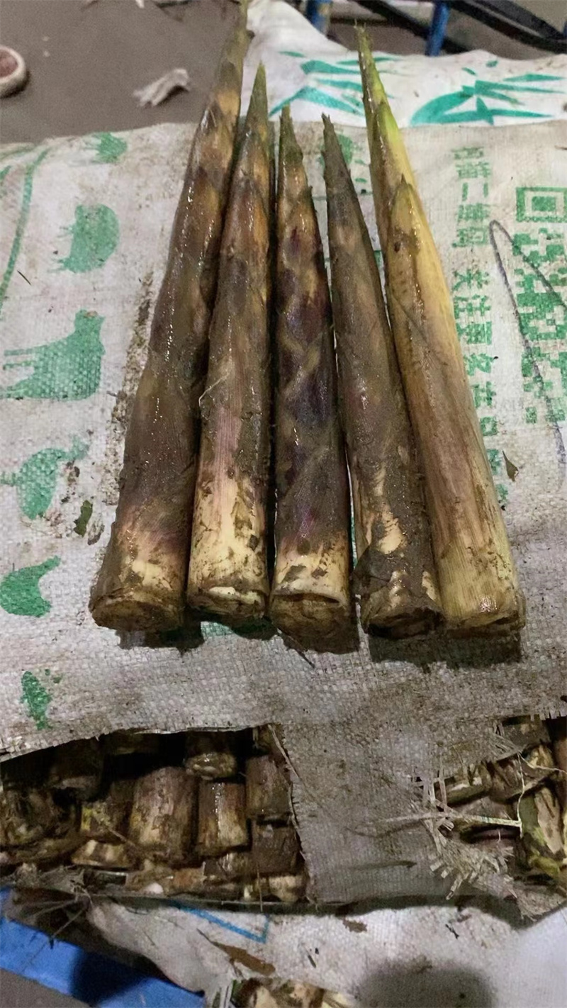 羅漢筍