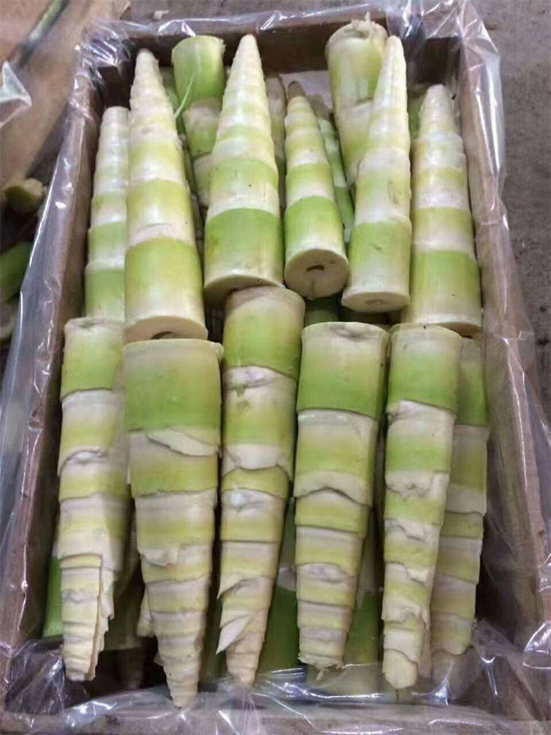 麻竹筍
