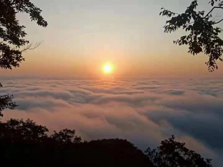 青山沟农家院哪家好