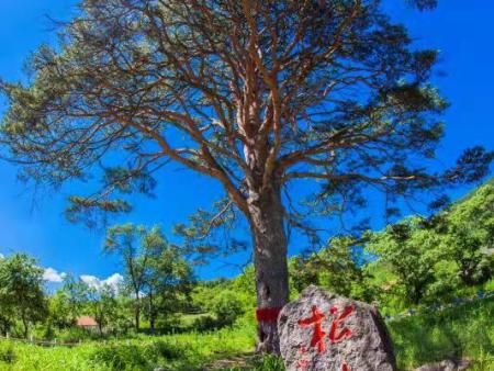 丹东青山沟旅游