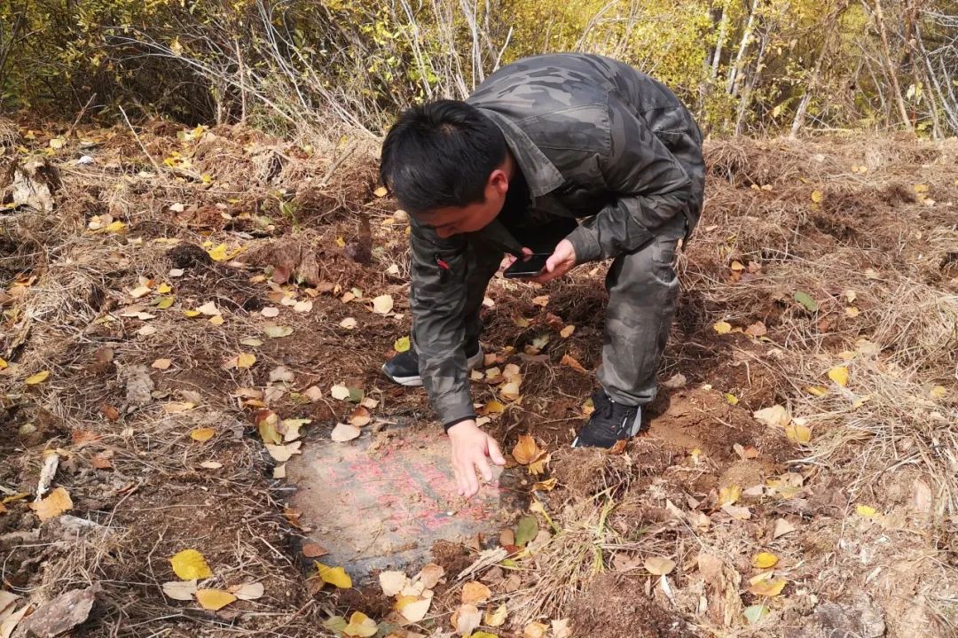 佳音“四溢”映佳节 不负使命再前行 ——黑龙江省地质科学研究所四个项目野外验收获得优 秀