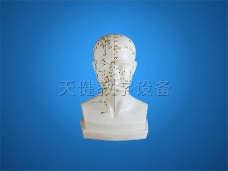 天健教學設備