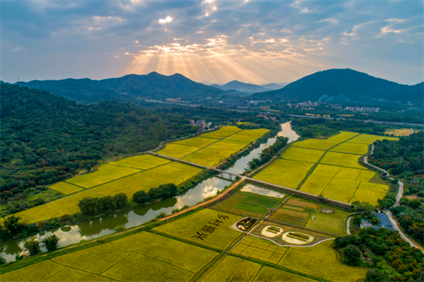 乡村振兴