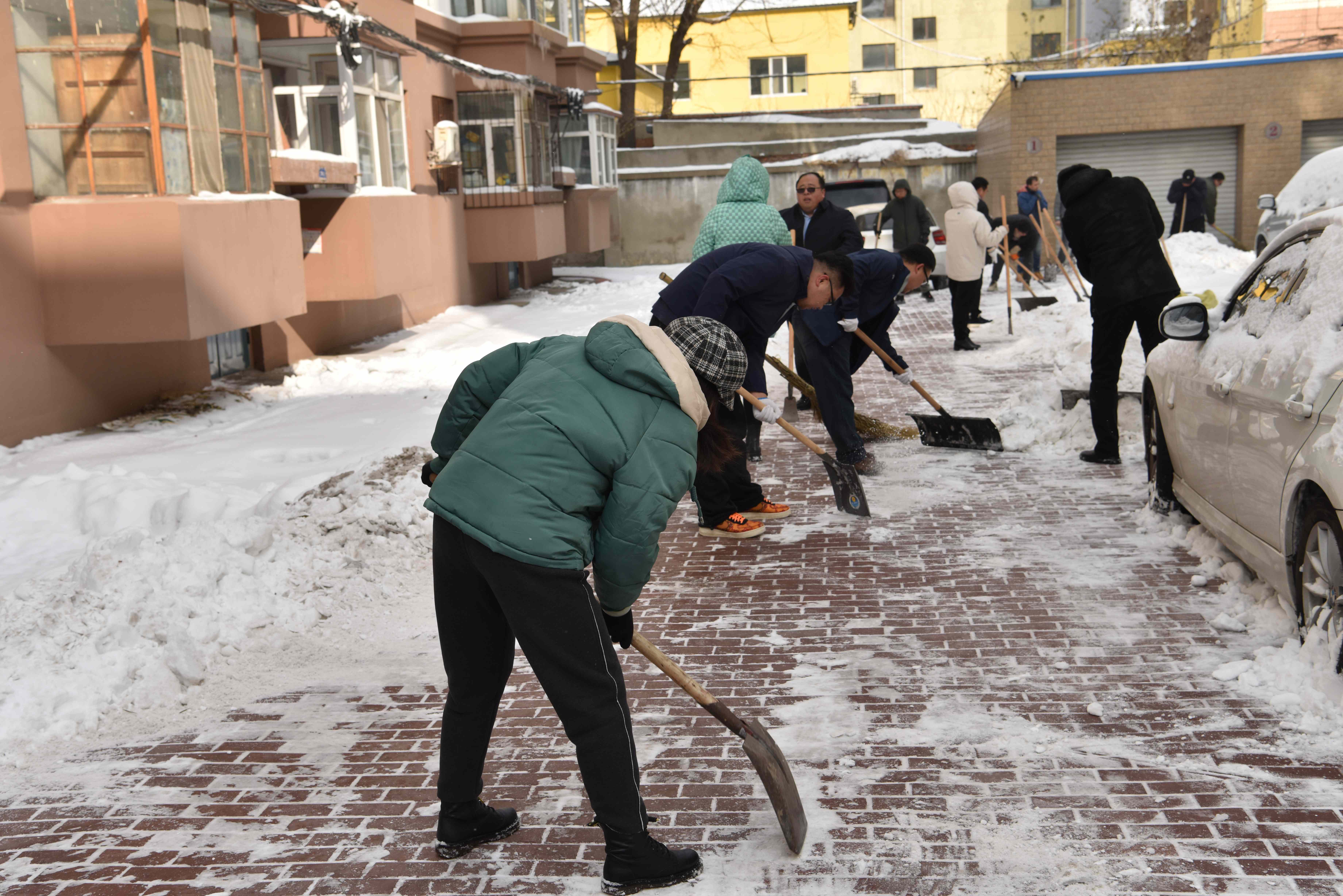 以雪为令 闻雪而动 黑龙江省地质科学研究所志愿者团队开展志愿清雪活动