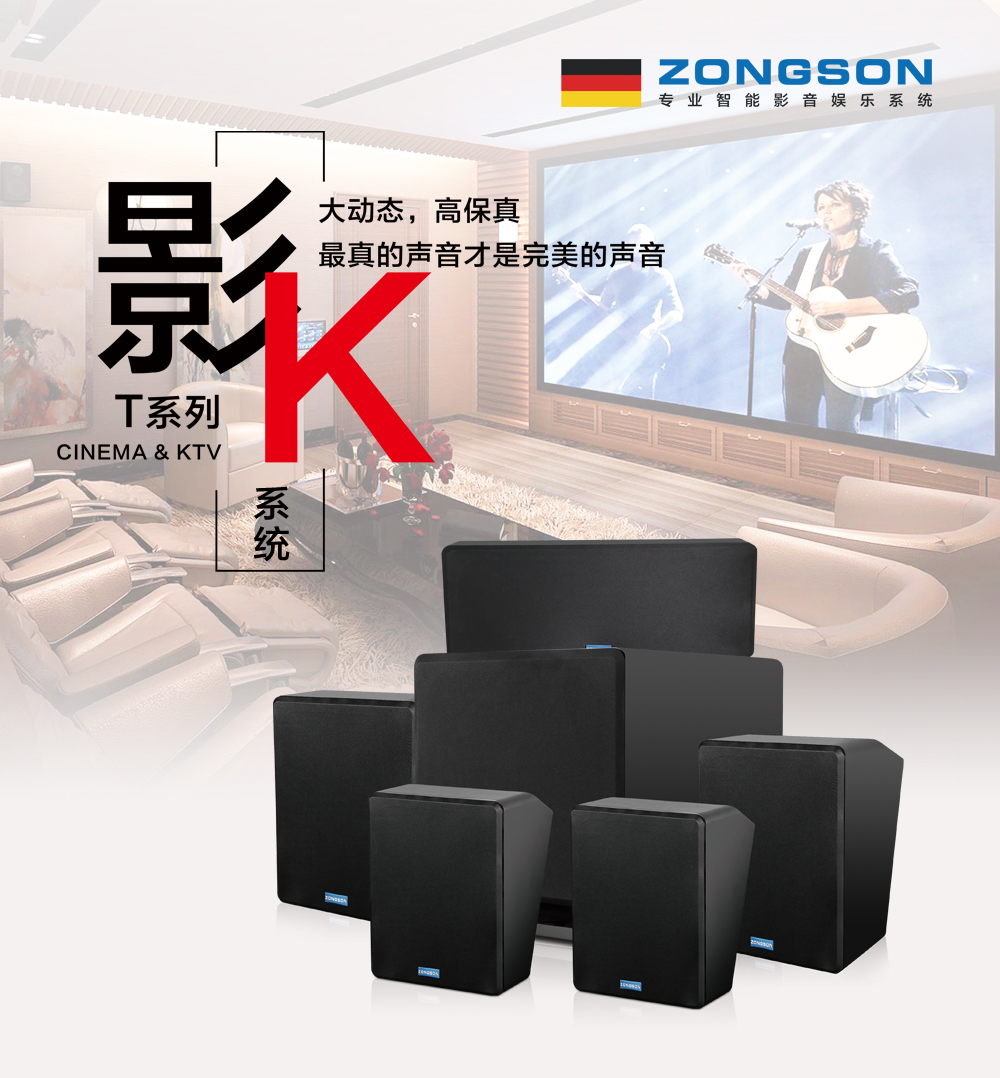 ZONGSON众声 5.1影K音响 家庭影院5.1音响 音箱 家