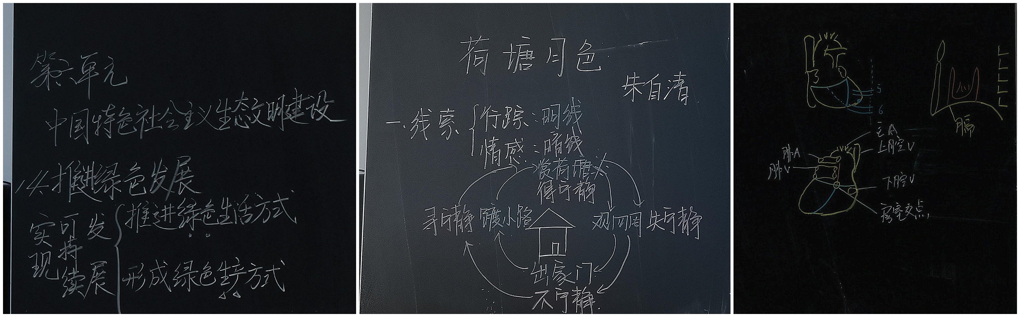 营口渤海卫生学校