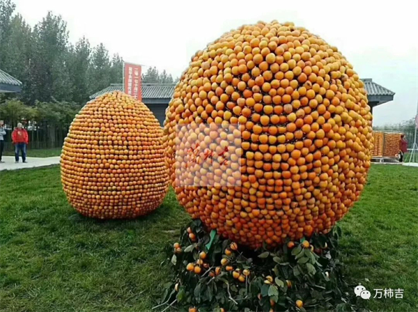 万柿吉