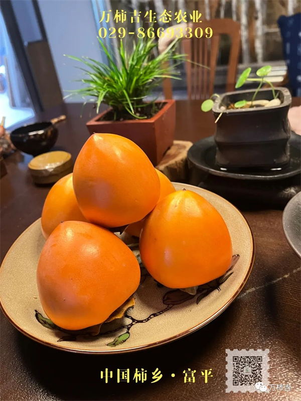 万柿吉