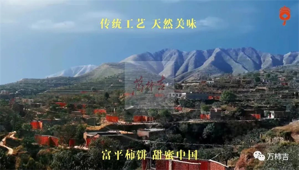 万柿吉