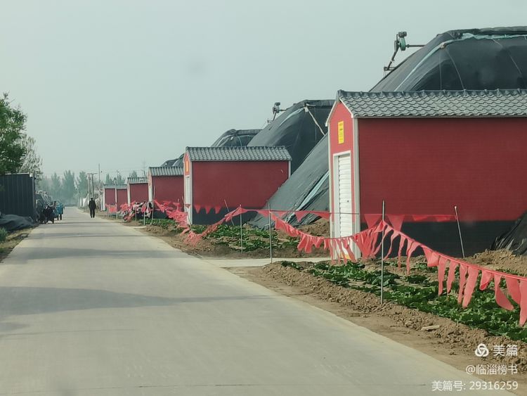 书尚鲁公，入古出新