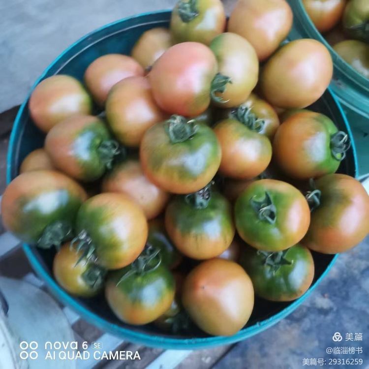 书尚鲁公，入古出新